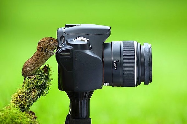 Burcuna göre sen %20 fotojeniksin!