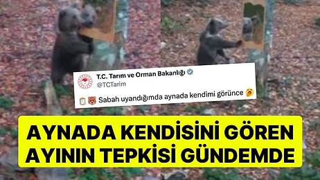 Tarım ve Orman Bakanlığı Paylaştı: Aynada Kendisini Gören Ayının Tepkisi Gündem Oldu