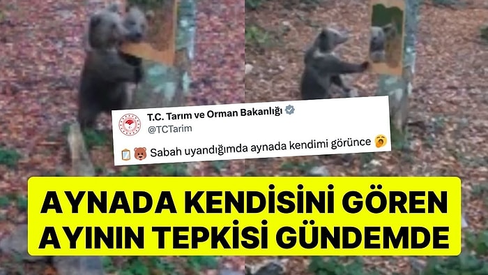 Tarım ve Orman Bakanlığı Paylaştı: Aynada Kendisini Gören Ayının Tepkisi Gündem Oldu