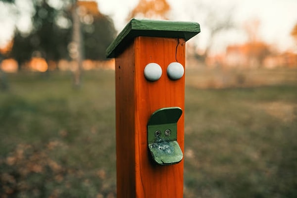 Pareidolia, bazı beyin hastalıklarının belirtilerini anlamamıza da yardımcı olabiliyor. Örneğin otizm spektrum bozukluğu olan çocuklar, yüzleri tanıma konusunda daha fazla zorluk yaşayabiliyor.