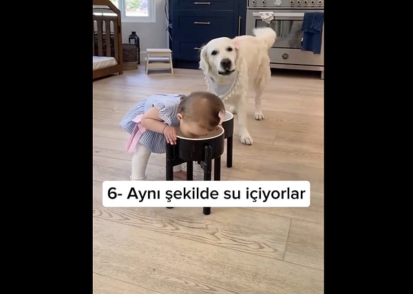 Bir anne, evin köpeği ile minik kızının benzerliklerini paylaştı.