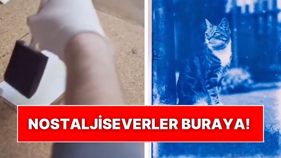 Nostaljiseverler Buraya! 120 Yıl Önceye Ait Negatif Filmden Kedi Fotoğrafı Çıktı