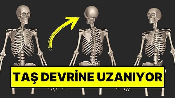 Belçika’da bir Roma mezarında bulunan ilginç bir iskelet, arkeologları şaşırttı. İlk başta sıradan bir gömü gibi görünen iskelet, yapılan testlerle Roma döneminin çok ötesine, Taş Devri’ne kadar uzanan kemiklerden oluştuğunu gösterdi. Yani farklı çağlardan kemikler bir araya getirilmiş. Uzmanlar, bu mezarın ya dini bir inanışla ya da özenle hazırlanmış bir ritüel gereği bu şekilde düzenlenmiş olabileceğini düşünüyor. Bu keşif, eski insanların ölüm ve ruh hakkındaki düşüncelerine dair yeni ipuçları veriyor.