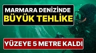 Marmara Denizi Büyük Tehlike Altında: Müsilajların Deniz Yüzeyine 5 Metresi Kaldı!