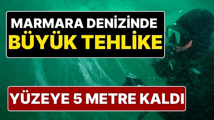 Marmara Denizi Büyük Tehlike Altında: Müsilajların Deniz Yüzeyine 5 Metresi Kaldı!