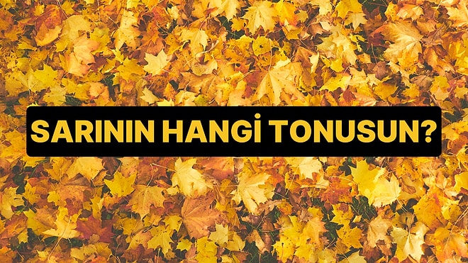 Mutluluk Testine Göre Sen Sarının Hangi Tonusun?