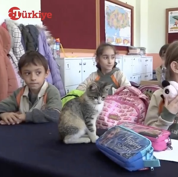 Sınıf öğrencilerinin bahçede bulduğu Karamel adlı kedi, sınıfın neşe kaynağı olmuştu.