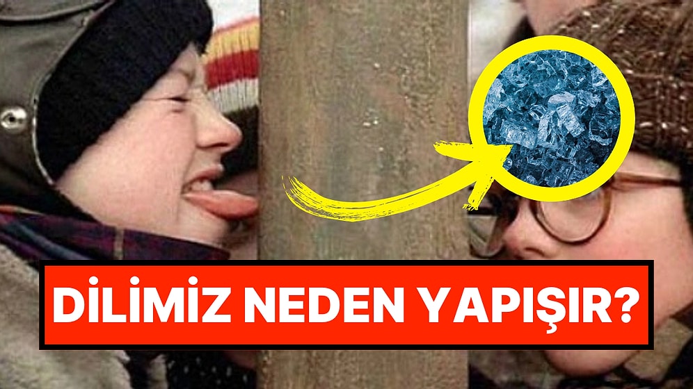 Hollywood Abartısı Değilmiş: Dilimiz Soğuk Metal Bir Yüzeye Değdiğinde Neden Yapışır?