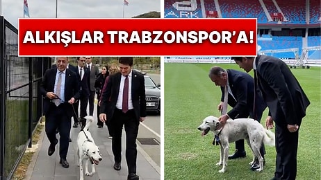 Maç Öncesi Sahaya Giren Zibidi Adlı Tatlı Köpeği Trabzonspor Sahiplendi: Belediye Başkanından Mesaj Var!