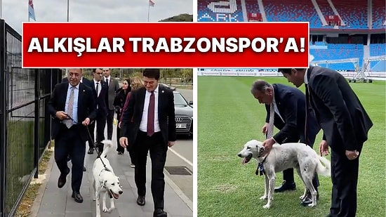 Maç Öncesi Sahaya Giren Zibidi Adlı Tatlı Köpeği Trabzonspor Sahiplendi: Belediye Başkanından Mesaj Var!