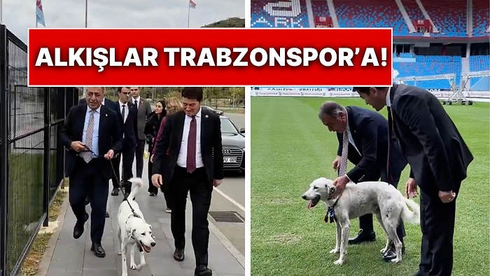 Maç Öncesi Sahaya Giren Zibidi Adlı Tatlı Köpeği Trabzonspor Sahiplendi: Belediye Başkanından Mesaj Var!