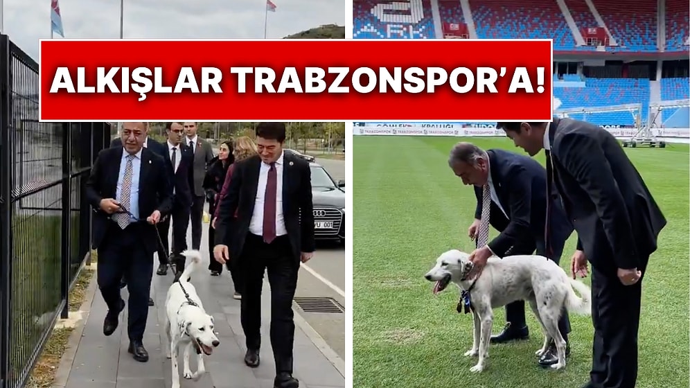 Maç Öncesi Sahaya Giren Zibidi Adlı Tatlı Köpeği Trabzonspor Sahiplendi: Belediye Başkanından Mesaj Var!