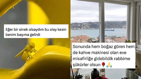 Bahtsız Sinekten Her Durumda Pozitif Olanlara Son 24 Saatin Viral Tweetleri