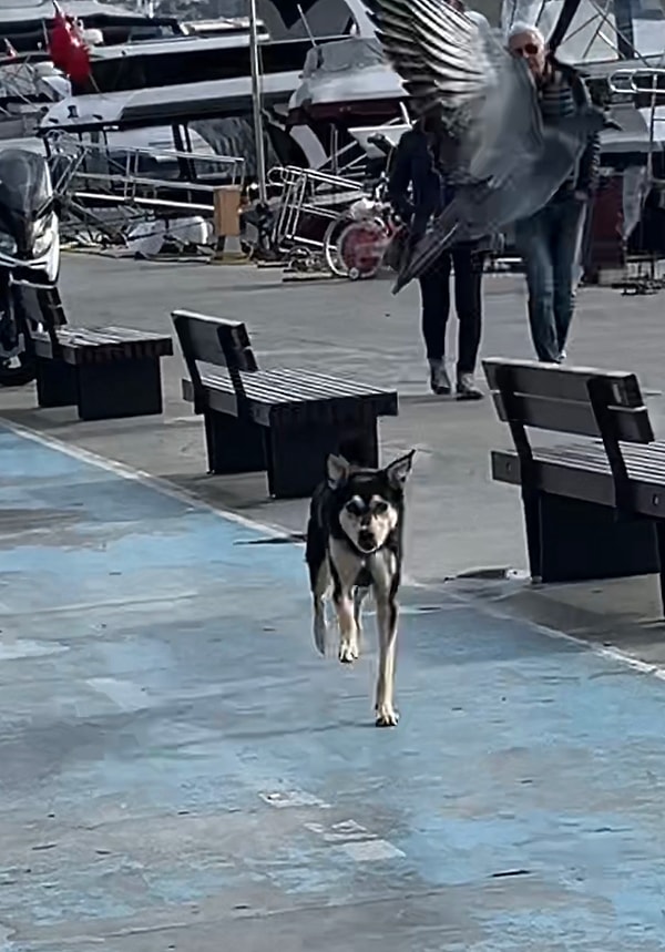 Annesini gördükten sonraki mutluluğu ve ona doğru koşuşu ise tebessüm ettirdi.