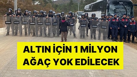 Cengiz Holding Kazdağları’nda! Altın Madeni İçin Katliam: 1 Milyon Ağaç Yok Edilecek