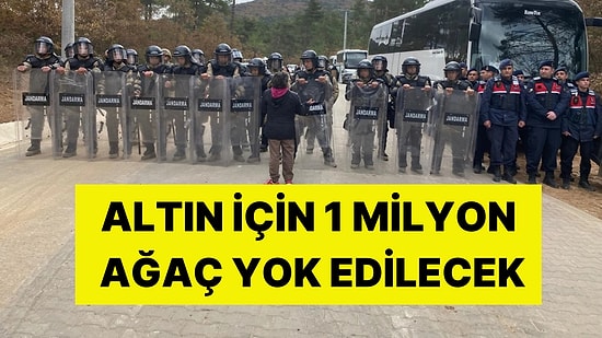 Cengiz Holding Kazdağları’nda! Altın Madeni İçin Katliam: 1 Milyon Ağaç Yok Edilecek