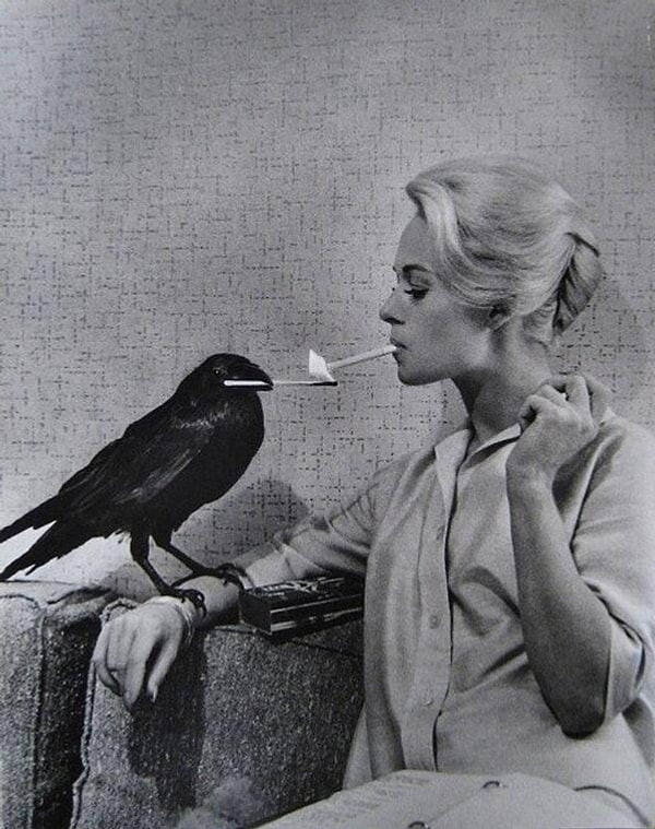 12. 1963 yılında çekilen "Kuşlar" filminin seti: Tippi Hedren'in sigarasını bir karga yakıyor