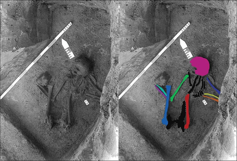 Mystery of a 2,000-Year-Old Skeleton Found in Belgium Unveiled