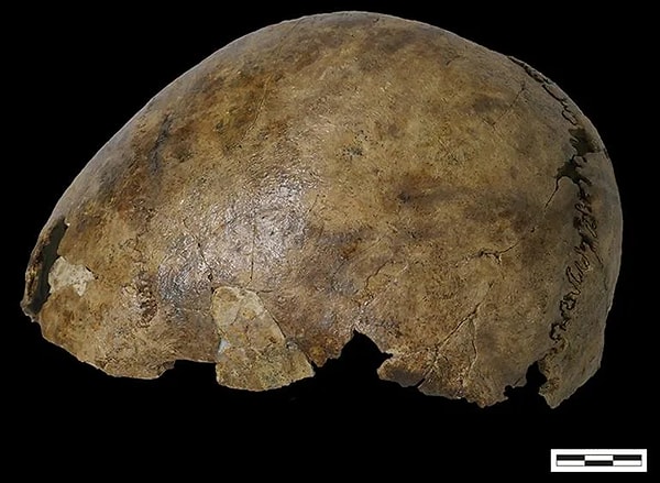 The other theory is that during the Gallo-Roman period, Neolithic bones and a Roman skull were deliberately combined.