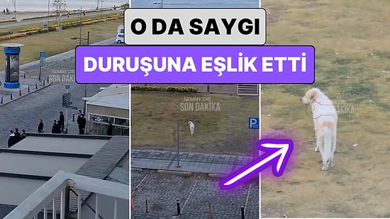 Hayat Durdu O da Durdu: İzmir'de Bir Köpek Saat 09:05'te Saygı Duruşuna Geçen İnsanlara Eşlik Etti