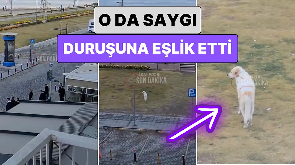 Hayat Durdu O da Durdu: İzmir'de Bir Köpek Saat 09:05'te Saygı Duruşuna Geçen İnsanlara Eşlik Etti