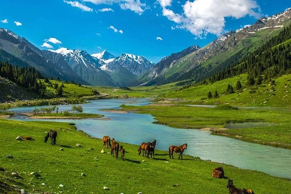 8. Kırgızistan'ın başkenti hangi şehirdir?