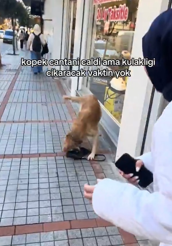 Bu komik olayı sosyal medya hesabından paylaşan genç kadın, “Köpek çantanı çaldı ama kulaklığı çıkaracak vaktin yok” notunu düşmüştü.