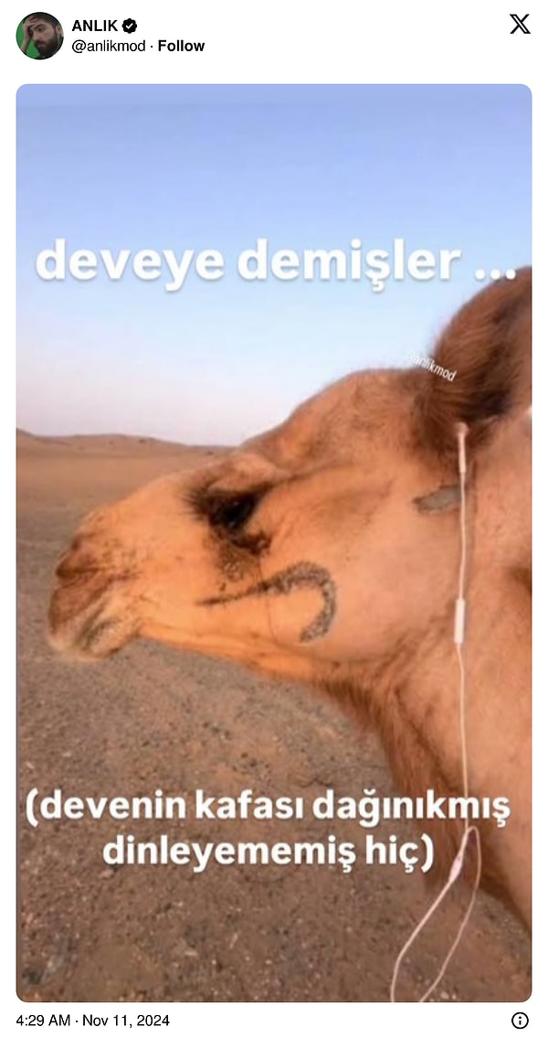 Deve dalgın...