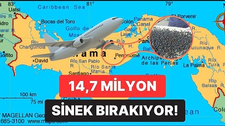 Amerika'nın Her Hafta Panama'ya 14,7 Milyon Sinek Bırakmasının Ardındaki Dahiyane Sebep