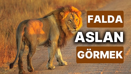 Falda Aslan Görmek Ne Anlama Gelir? İstediğiniz Güçse Elde Edebilirsiniz!