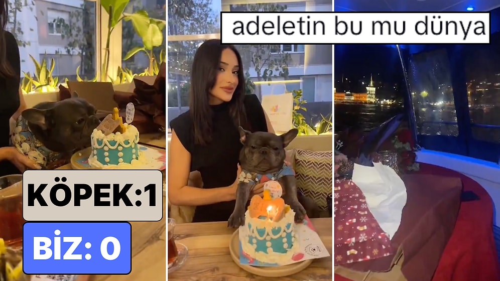 "Köpek: 1 Biz: 0": Bir Kadın Köpeğine Teknede Doğum Günü Partisi Düzenledi