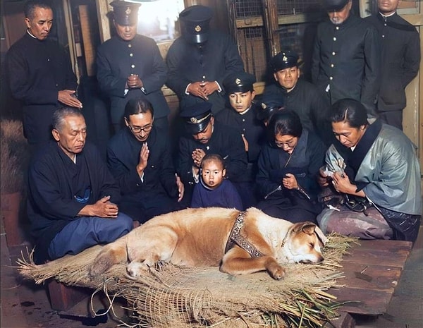 9. Herkesin tanıdığı sadık köpek Haçiko'nun son fotoğrafı.