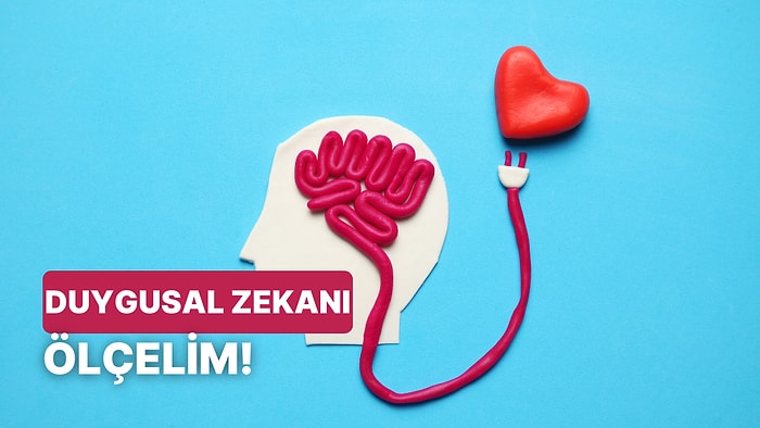 Bu Test Senin İç Dünyanı Aydınlatacak: Duygusal Zeka Seviyeni Ölçüyoruz!