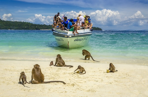 8. Tayland'daki Phi Phi Adası: Maymun Plajı