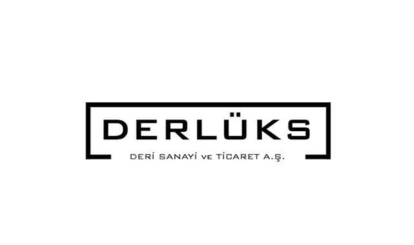 8. Derlüks Yatırım Holding A.Ş. (DERHL)