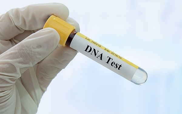 Lan'ın annesi Hong, DNA testi yaptırdı. Testin sonucunda, Lan'ın değil, arkadaşının annesi olduğu ortaya çıktı!