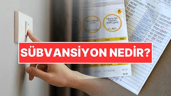 Sübvansiyon Nedir? Elektrikte Sübvansiyon Kararı Resmi Gazete Yayımlandı! Sübvansiyon Ne Demek?