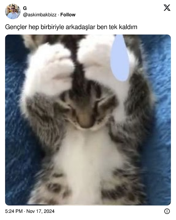 Gelin, diğer kullanıcılar ne demiş, beraber bakalım👇