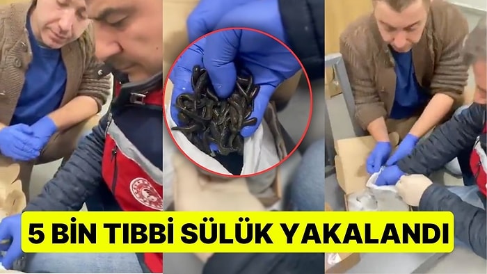 İstanbul Havalimanı'nda Kaçak Sülük Operasyonu: 5 Bin Tıbbi Sülük Yakalandı