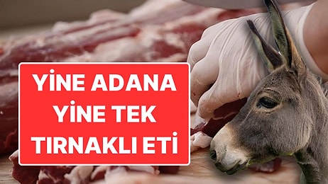 Bakanlık Yeni Listeyi Yayınladı: Adana’da Tek Tırnaklı, İstanbul’da ise Kanatlı Eti Çıktı!