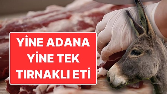 Bakanlık Yeni Listeyi Yayınladı: Adana’da Tek Tırnaklı, İstanbul’da ise Kanatlı Eti Çıktı!