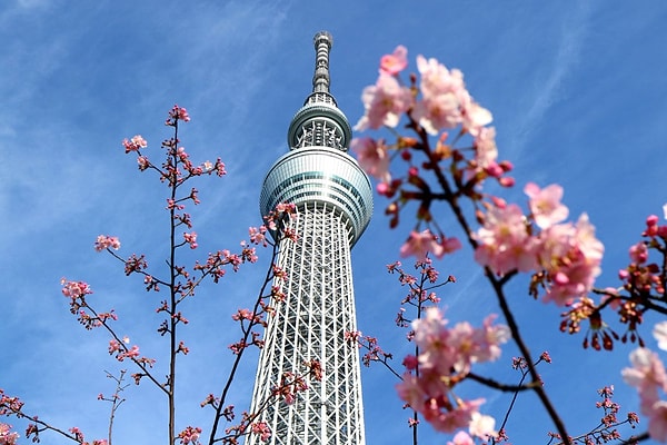 Tokyo Skytree, Japonya’nın sadece gökdelenlerle dolu bir şehir olmadığını, aynı zamanda kültür, teknoloji ve sanatın harmanlandığı bir medeniyet olduğunu kanıtlıyor.