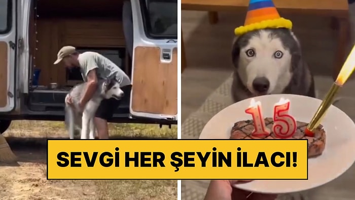 Sevgi Her Şeyin İlacıdır: Hasta Olan Köpeklerini Sevgileriyle Hayata Döndüren Çift