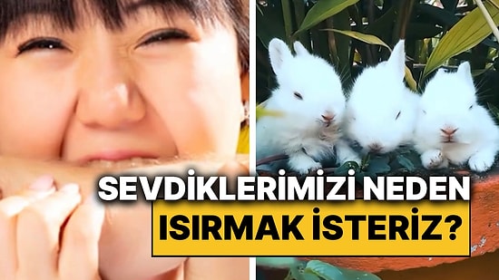 Bize Tatlı Gelen Şeyleri Neden Isırmak İsteriz Diye Düşündüyseniz İşte Cevabı!