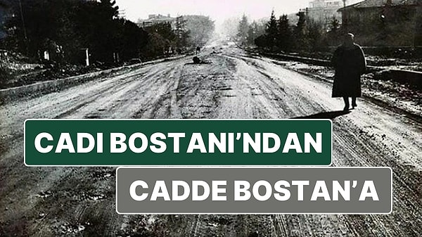 14. Caddebostan'a Osmanlı'da Cadı Bostanı Dendiğini Biliyor muydunuz? Tüyler Ürperten Hikayesi Var!