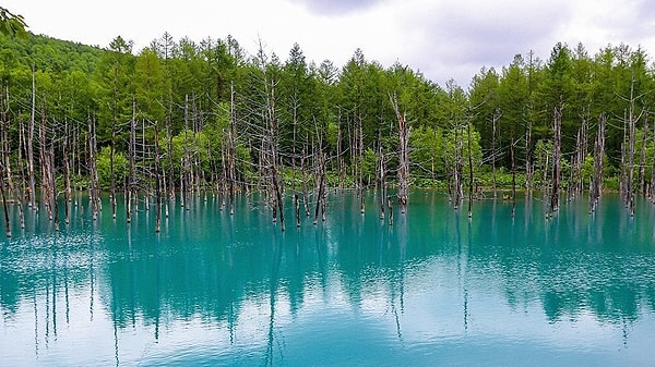 1. The Blue Pond - Japonya