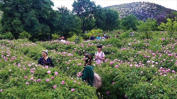 TÜİK Türkiye'nin ''en güvenli'' şehir sıralamasında Isparta 5. sırada yer aldı. Isparta'nın güven oranı yüzde 79.3 olarak tespit edildi.