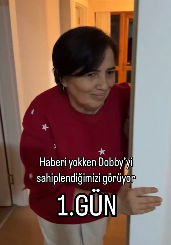 Dobby eve geldiği ilk gün aile büyükleri pek de sevgiyle karşılamamıştı. Hatta evde kedi istenmemesi hakkında sohbetler de edilmişti.