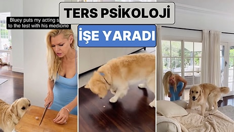 Bir Kadın İlaç İçiremediği Köpeğine Ters Psikoloji Uygulayarak İlacı Kendi İsteğiyle İçmesini Sağladı