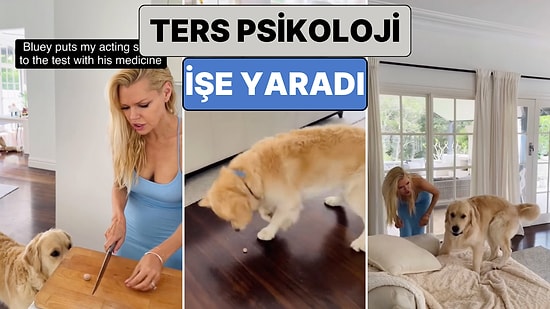 Bir Kadın İlaç İçiremediği Köpeğine Ters Psikoloji Uygulayarak İlacı Kendi İsteğiyle İçmesini Sağladı